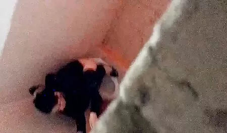 PornstarPlatinum e video amatoriali trav Mandingo