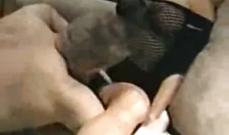 Cazzo video porno amatoriale pompino il mio culo